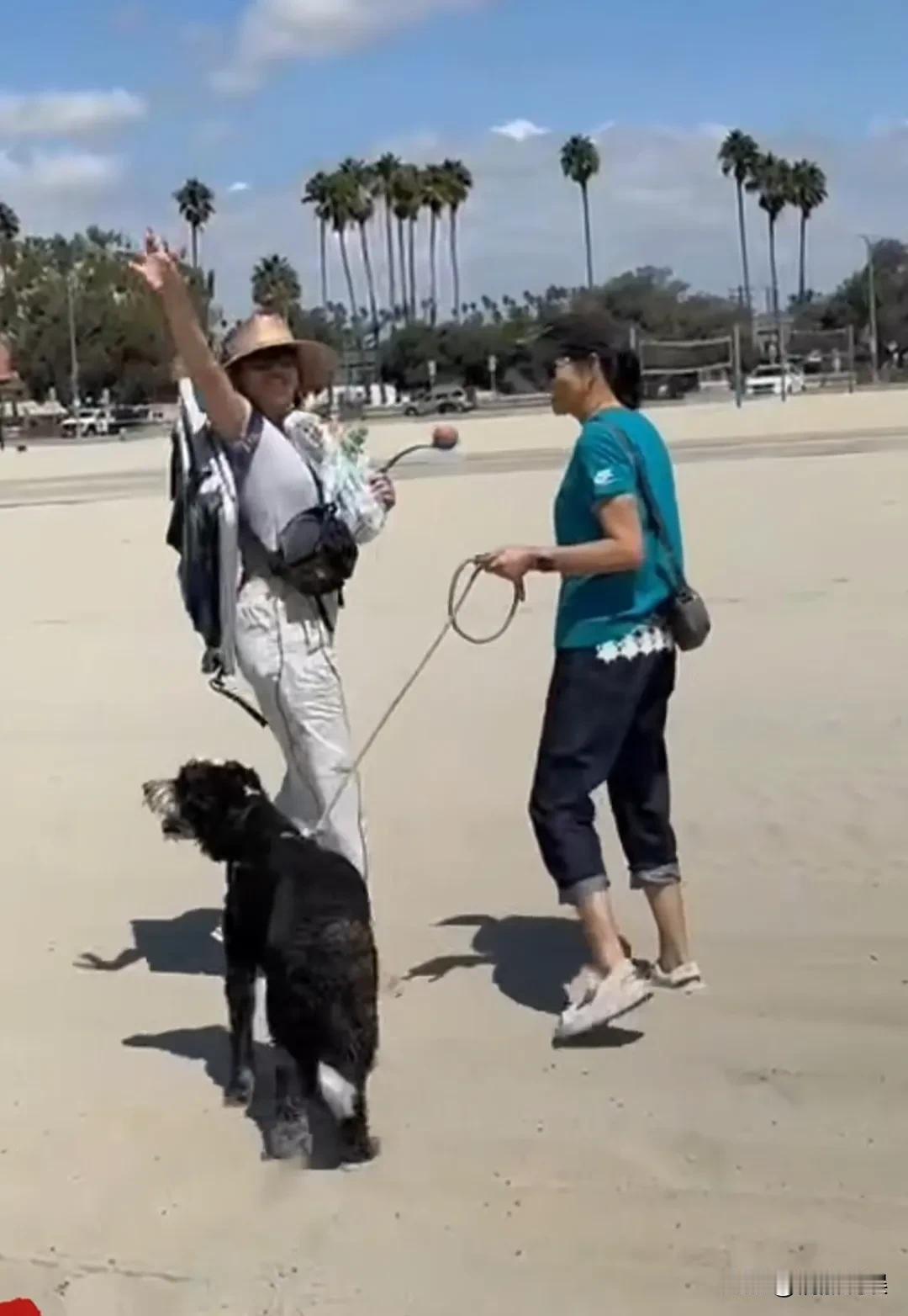 郎平老师晒照，去到美国和女儿团聚，母女俩一起去海边遛狗，日子好悠闲。
女儿身材高