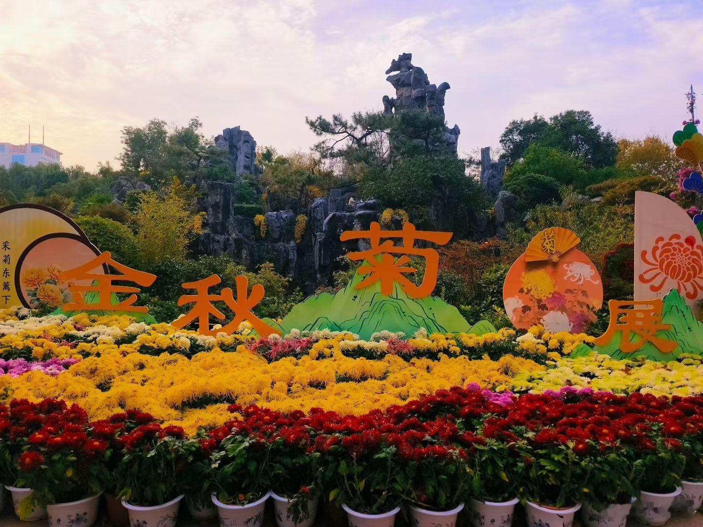 幸好提前去看了菊展， 这天立马就入冬了。期待大雪纷飞的日子到来😍 