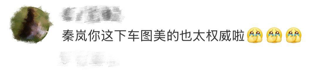 家人们谁懂啊！秦岚在纽约街头下车那幕，直接把“美到权威”这词焊在我脑子里了！
 