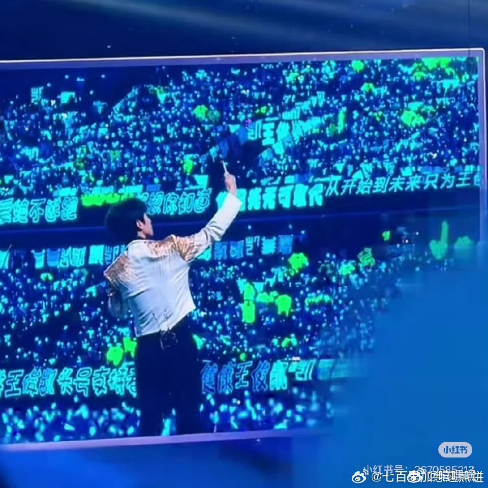 王俊凯巅峰之夜和粉丝拍合照其实叫的是我！嘿嘿 