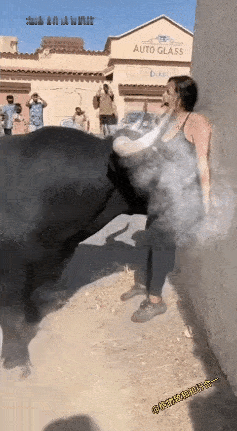 这牛疯了
我就想问问
疯牛肉可以吃吗？[捂脸]