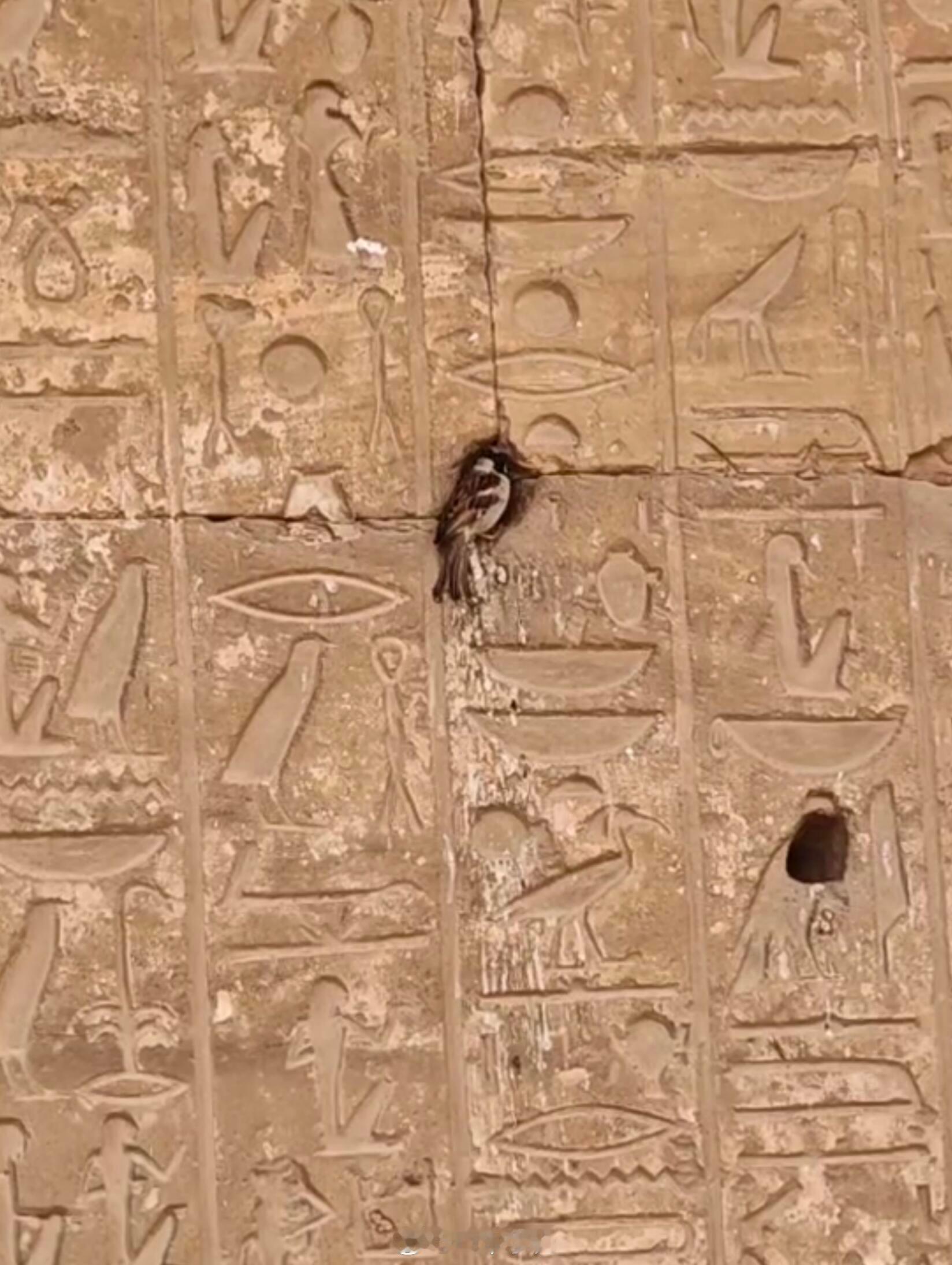 象形文字在这一刻活过来了 