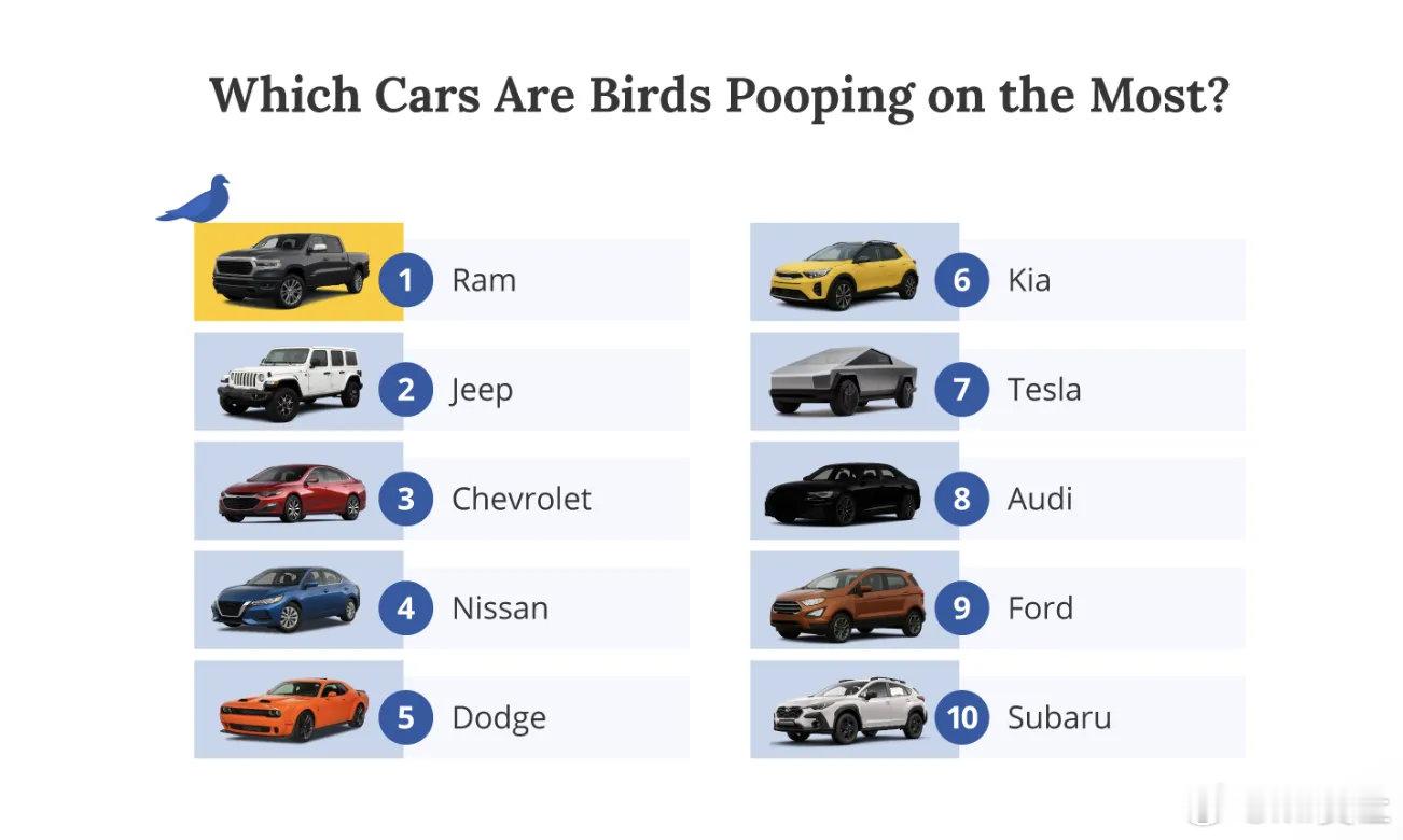 聊点有意思的，看看鸟类的精准投放目标里有没有你我与汽车的日常