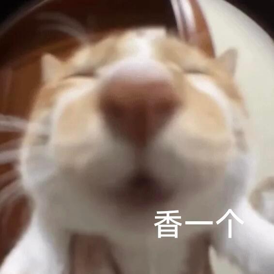 突然好想喝柠檬奶 