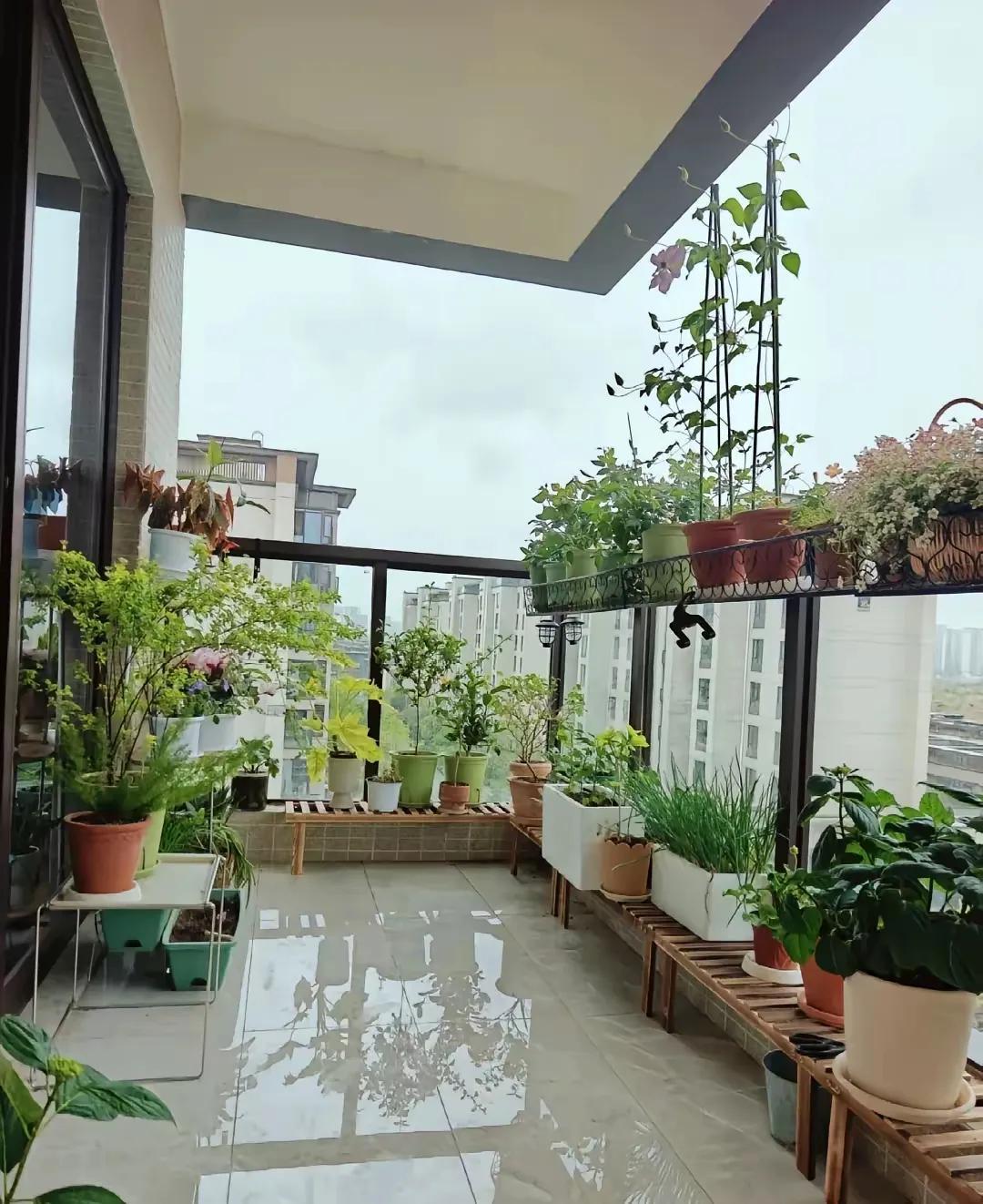 四季小花园很美！
阳台虽小，却能种出四季小花园。阳台是我们家中一个重要的空间，虽