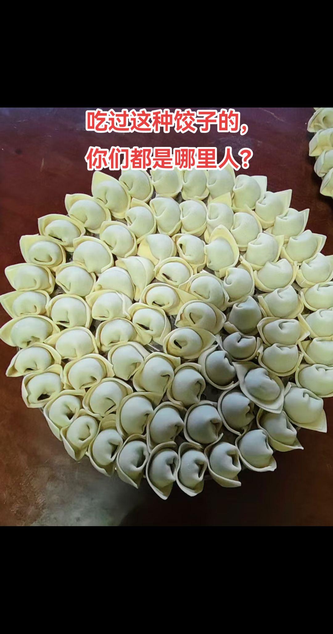 吃过这种饺子的，你们都是哪里人？每次发饺子的图片和视频，都被人议论，有说是水饺的