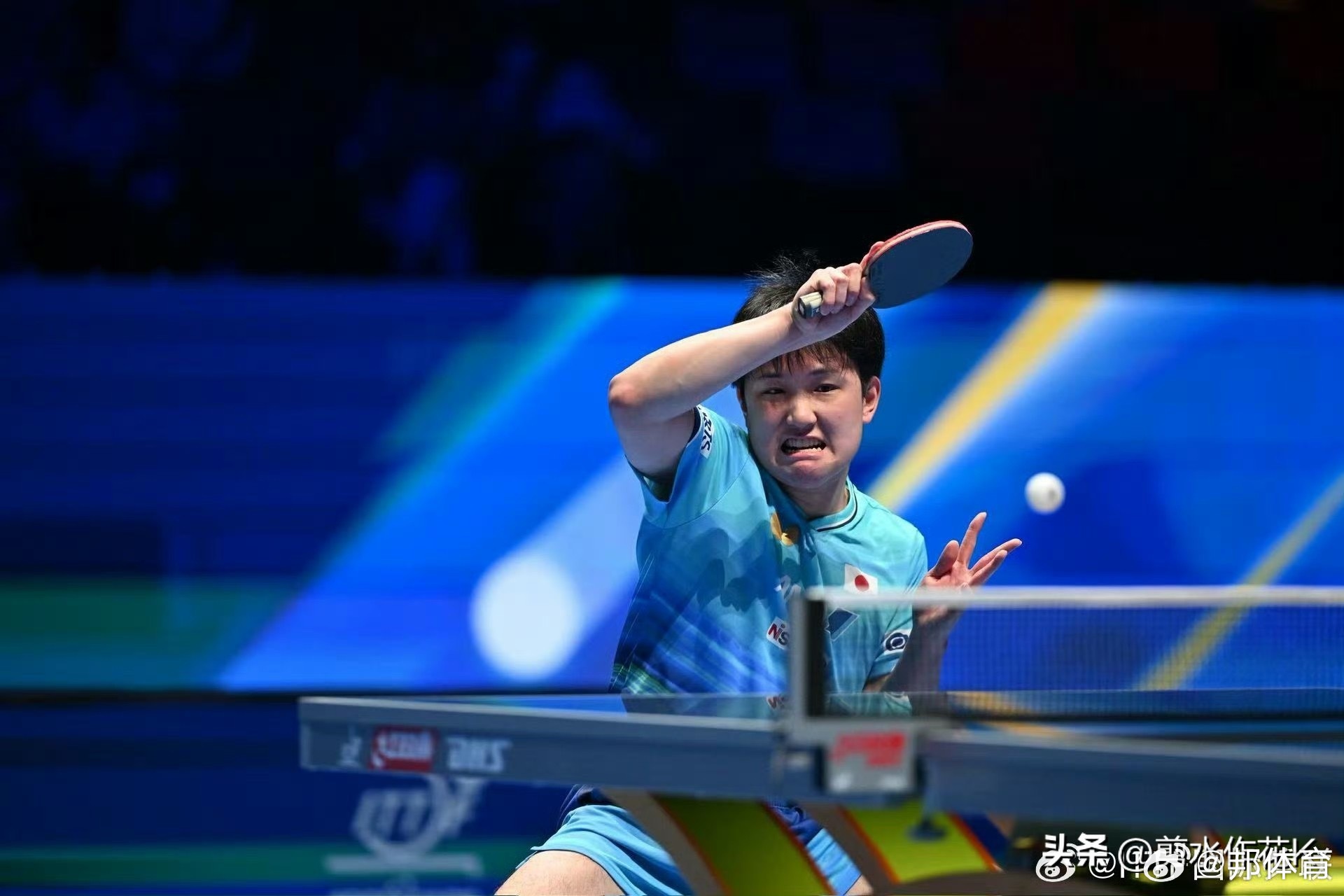 林昀儒4比1张本智和澳门世界杯关键战，林昀儒4-1（12-14、11-5、11-