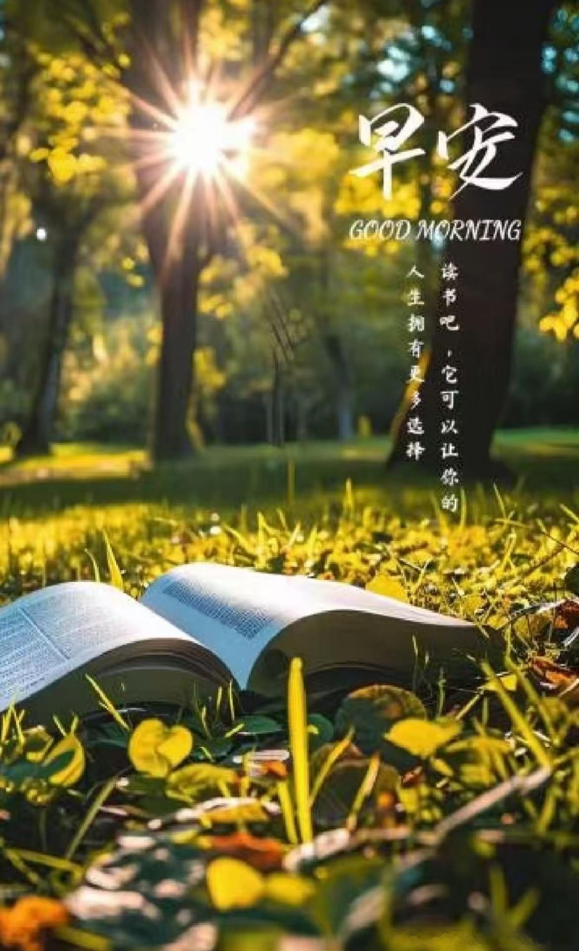 早安朋友们！收官之战即将打响，感谢大家一路以来的支持与信任！看到粉丝们的暖心留言