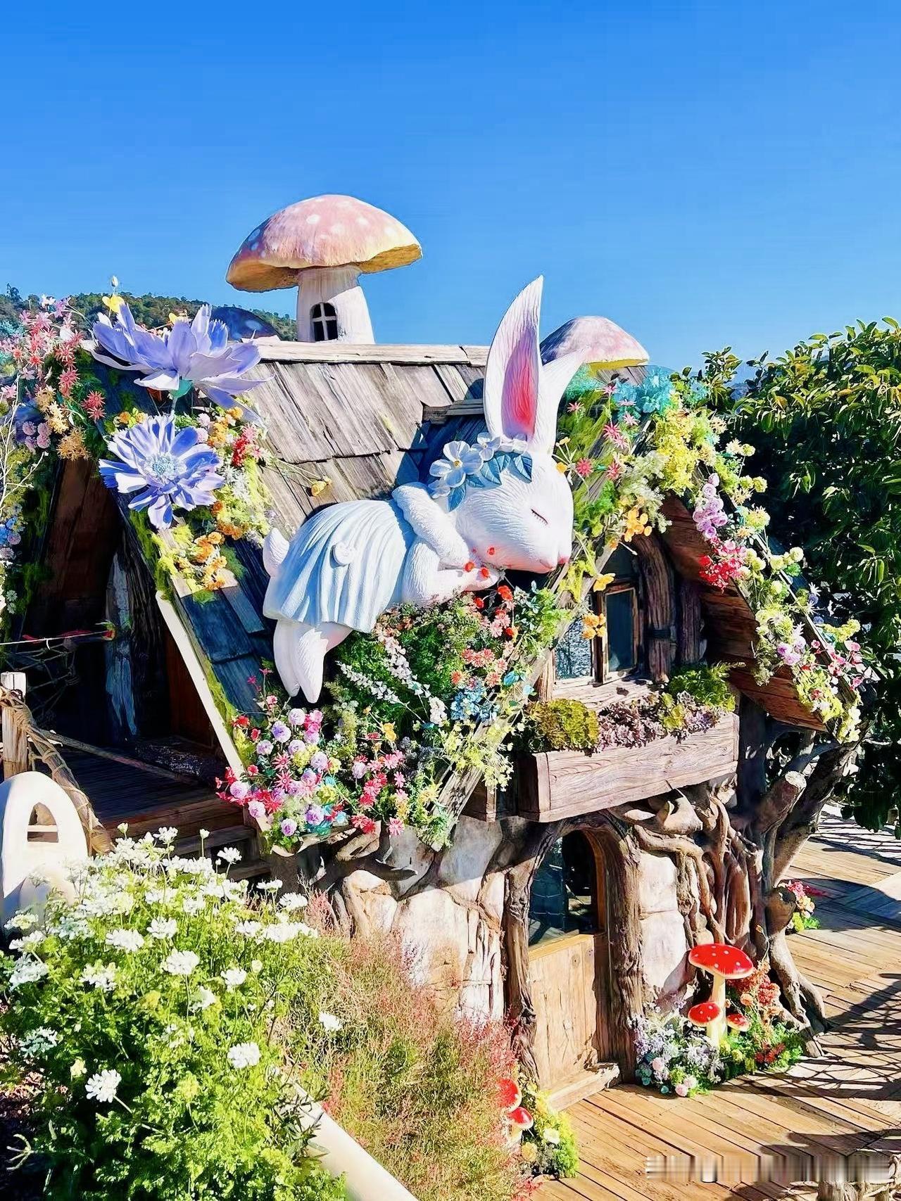 大理洱海旁宝藏花园｜一人游治愈打卡地✨

一个人来大理旅行，专程打卡了洱海边的理