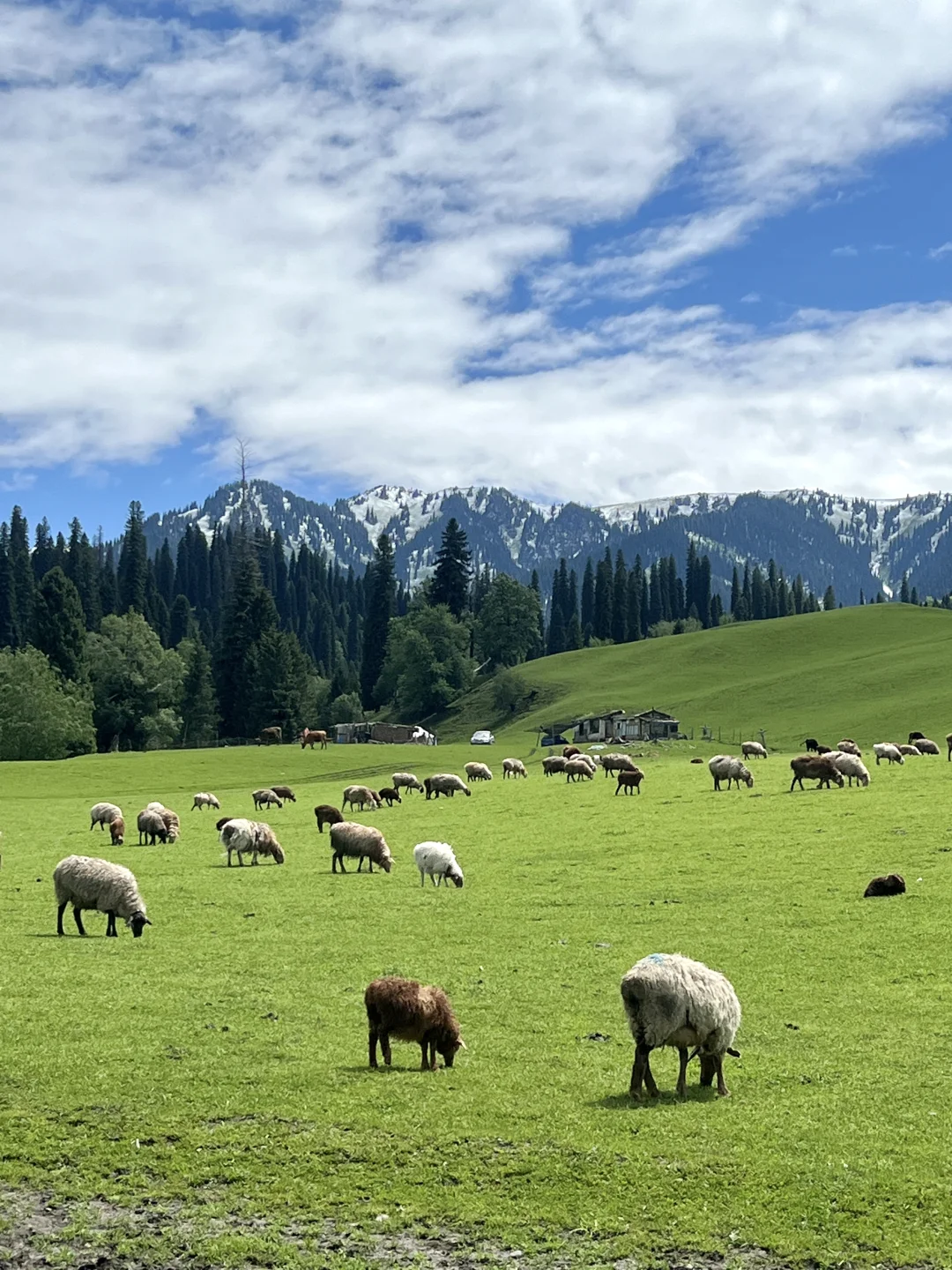 不花钱的快乐‼️又是羡慕上海小朋友的一天