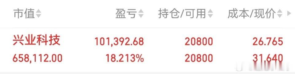单日回撤坚持锁仓兴业科技，零操作硬扛波动，厚浮盈打底，格局持有等待行情修复反攻。