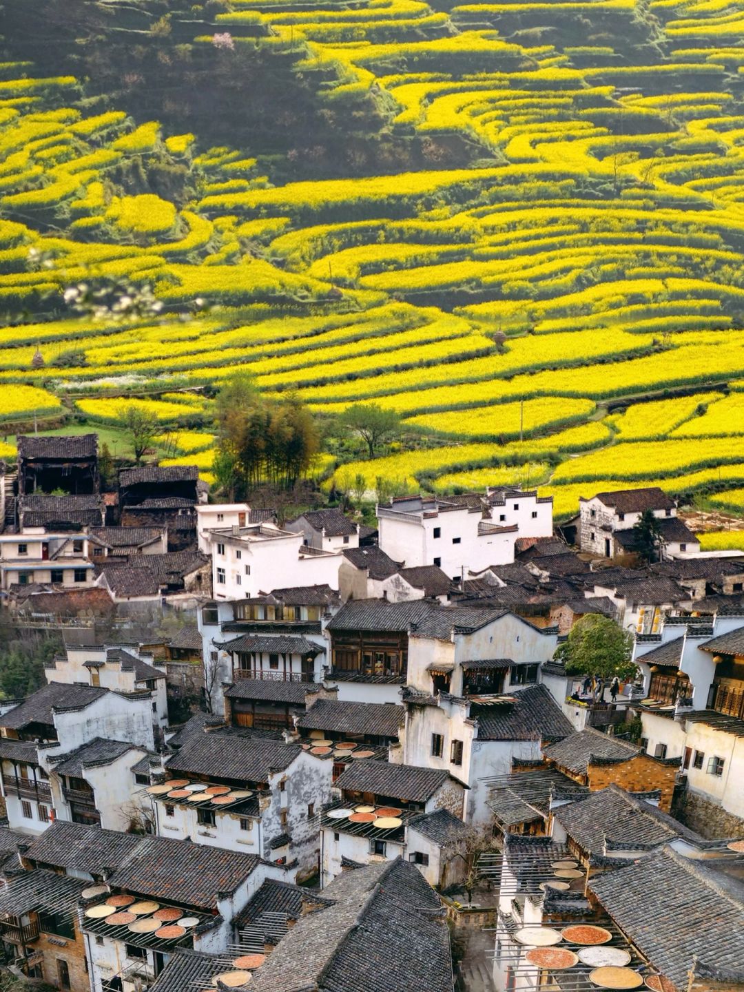 被《国家地理》评为最美春天的古村有多绝‼