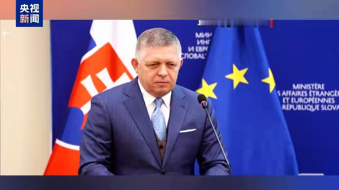 【坚持己见】
当地时间19日，斯洛伐克总理菲佐在欧盟就乌克兰融资达成协议后对媒体