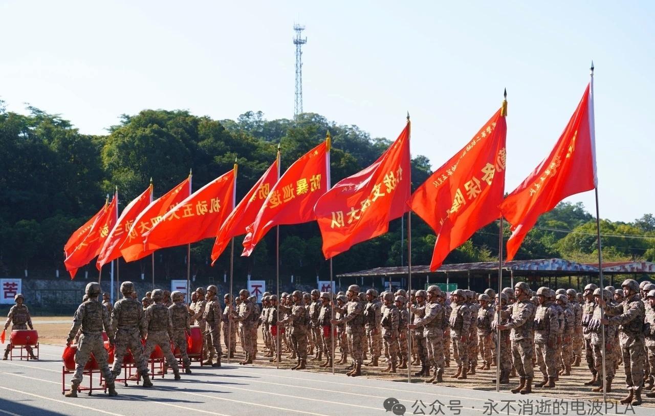 常见的PAP机动总队机动支队框架
机动1～5大队，防暴装甲车大队，防暴巡逻车大队