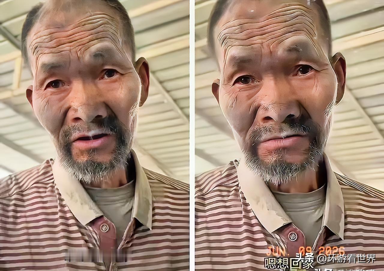 水泥厂老板进局子了，水泥老人找到了家，一切都回到了正轨，但是现在最大问题，老人以