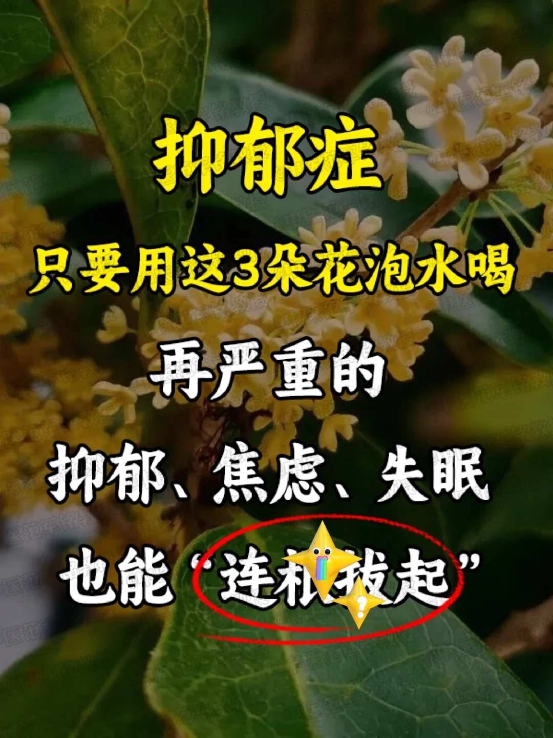 抑郁症只要用这3朵花泡水喝，再严重的抑郁、焦虑、失mian不怕 自古以...