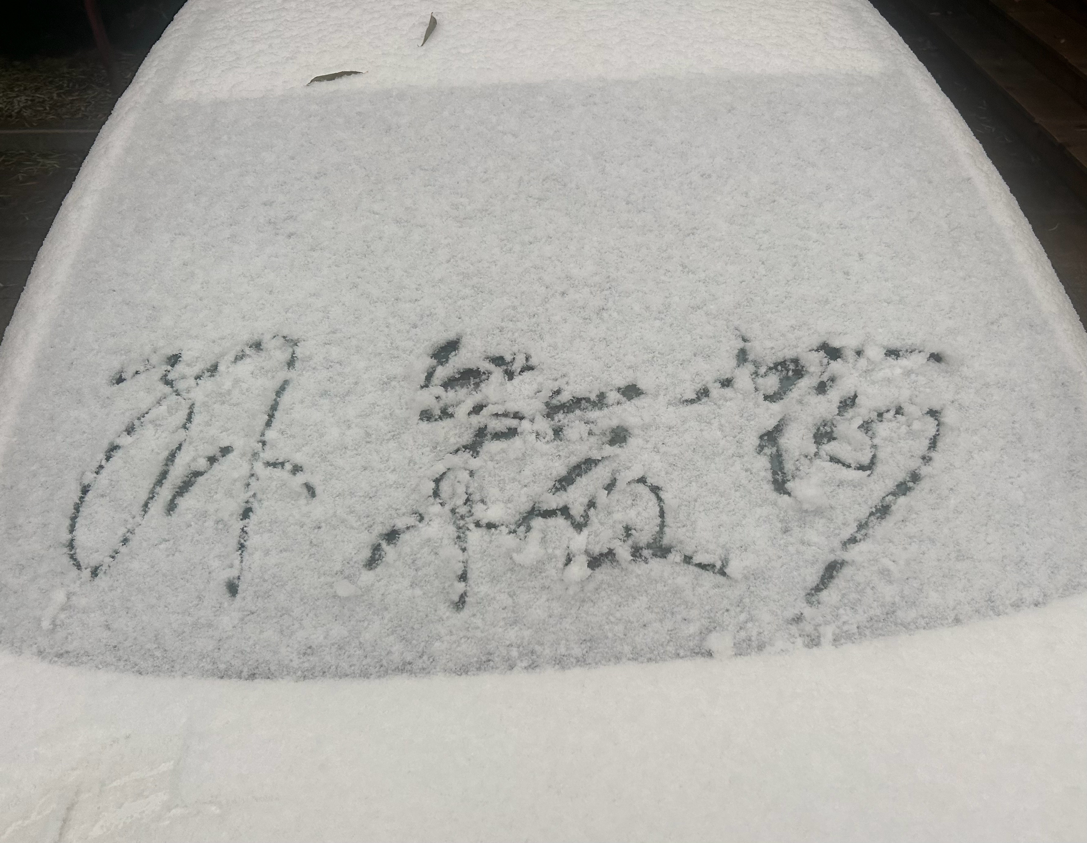 孙颖莎[老师爱你] 