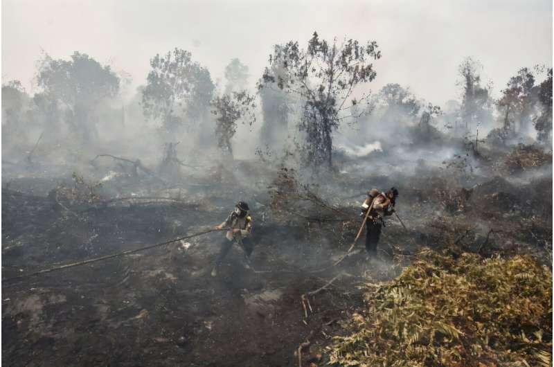 你敢相信吗？在一座拥有数百万人居住的城市里，晚上的空气居然像是在直接吸入刚烧焦的