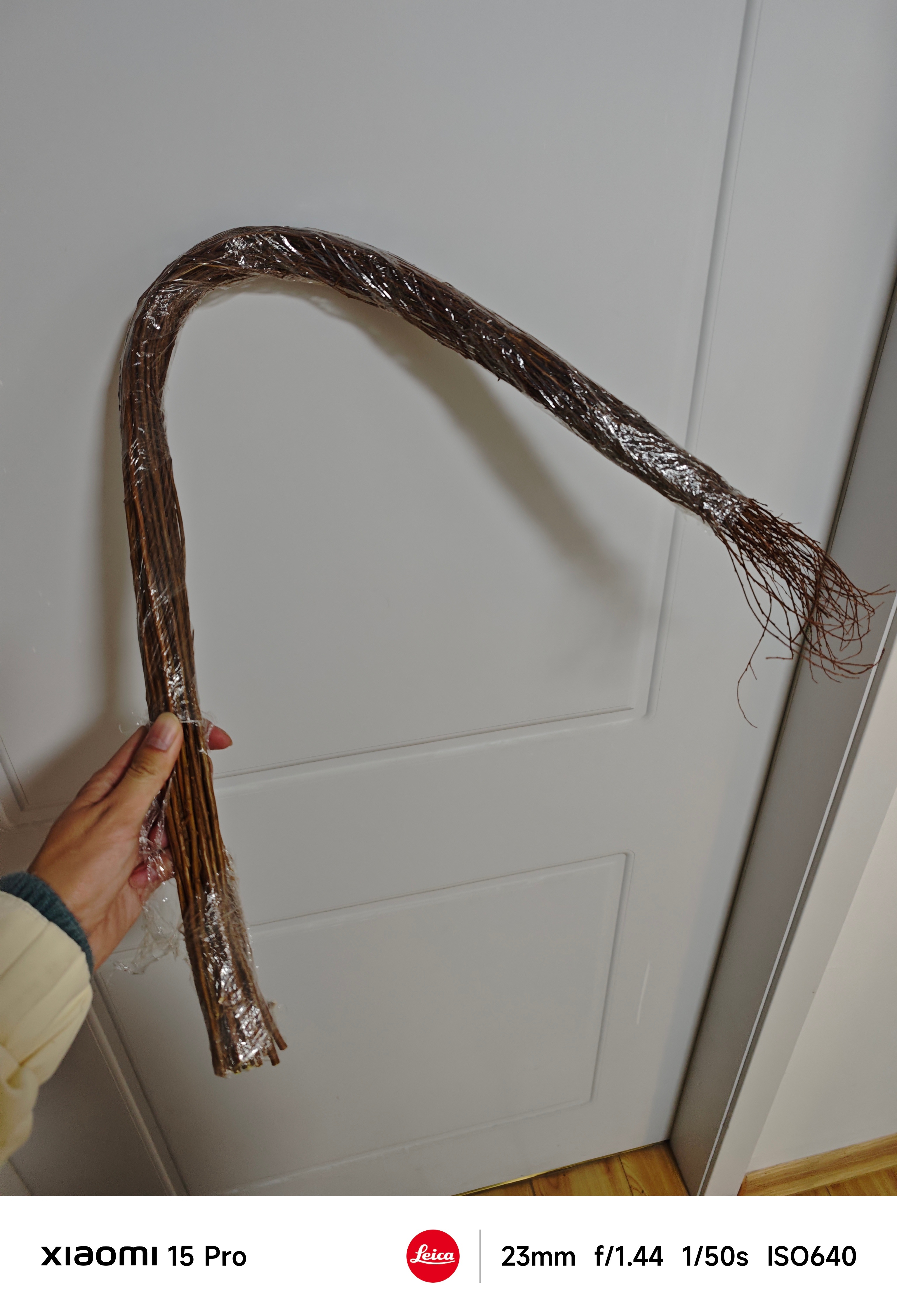 听说 2 周 能变成图 3 这样，希望别骗我