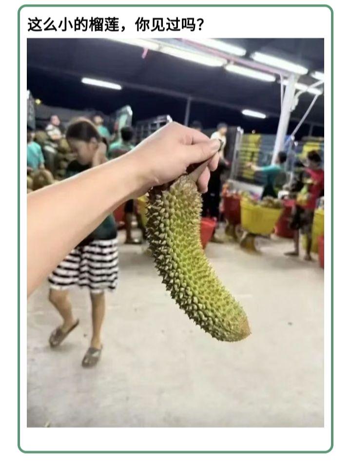这不要5块钱啊