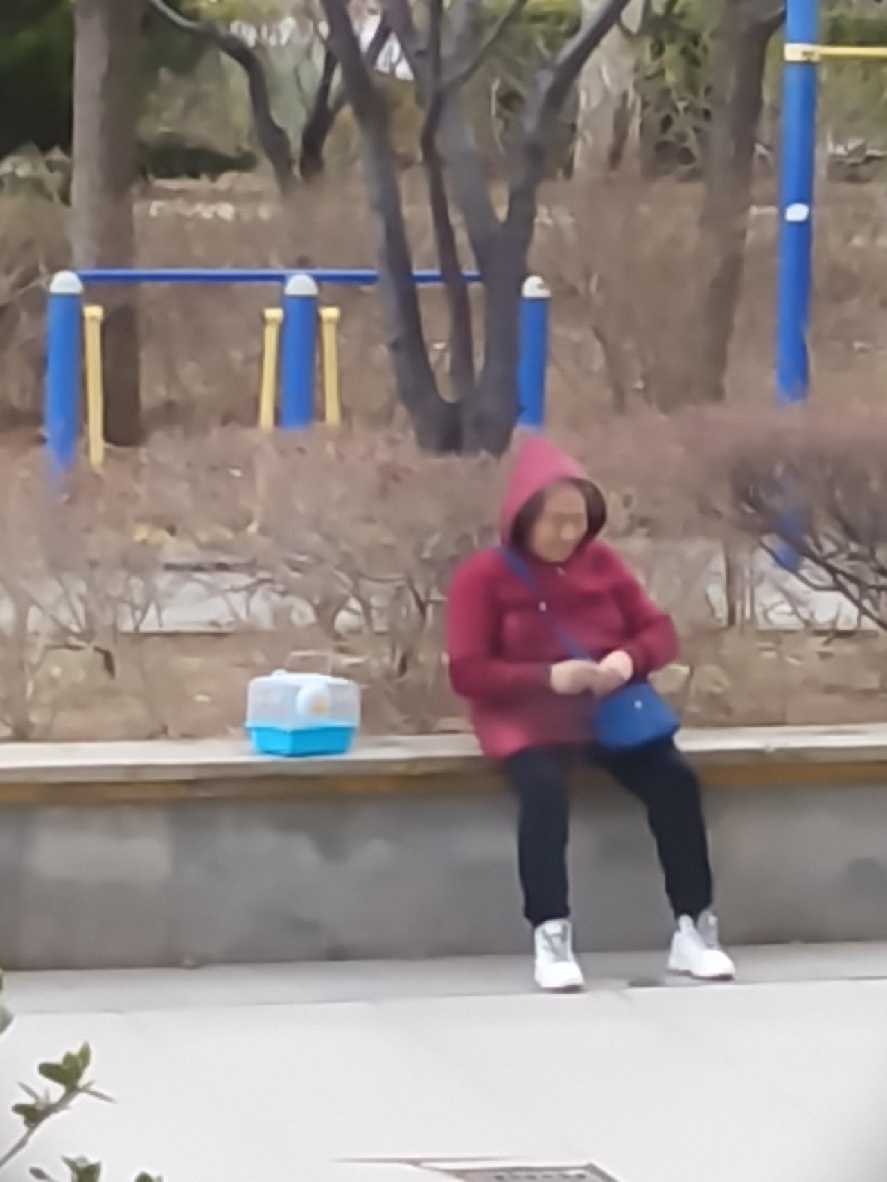 姑奶奶的羞愧
       姑奶奶这辈人兄弟姐妹八个，姑奶奶排老七，还有一个弟弟