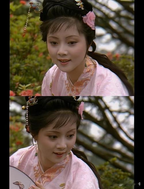 《红楼梦》“宝钗扑蝶”的经典场景，脱胎于《金瓶梅》中的“潘金莲扑蝶”。
《金瓶梅