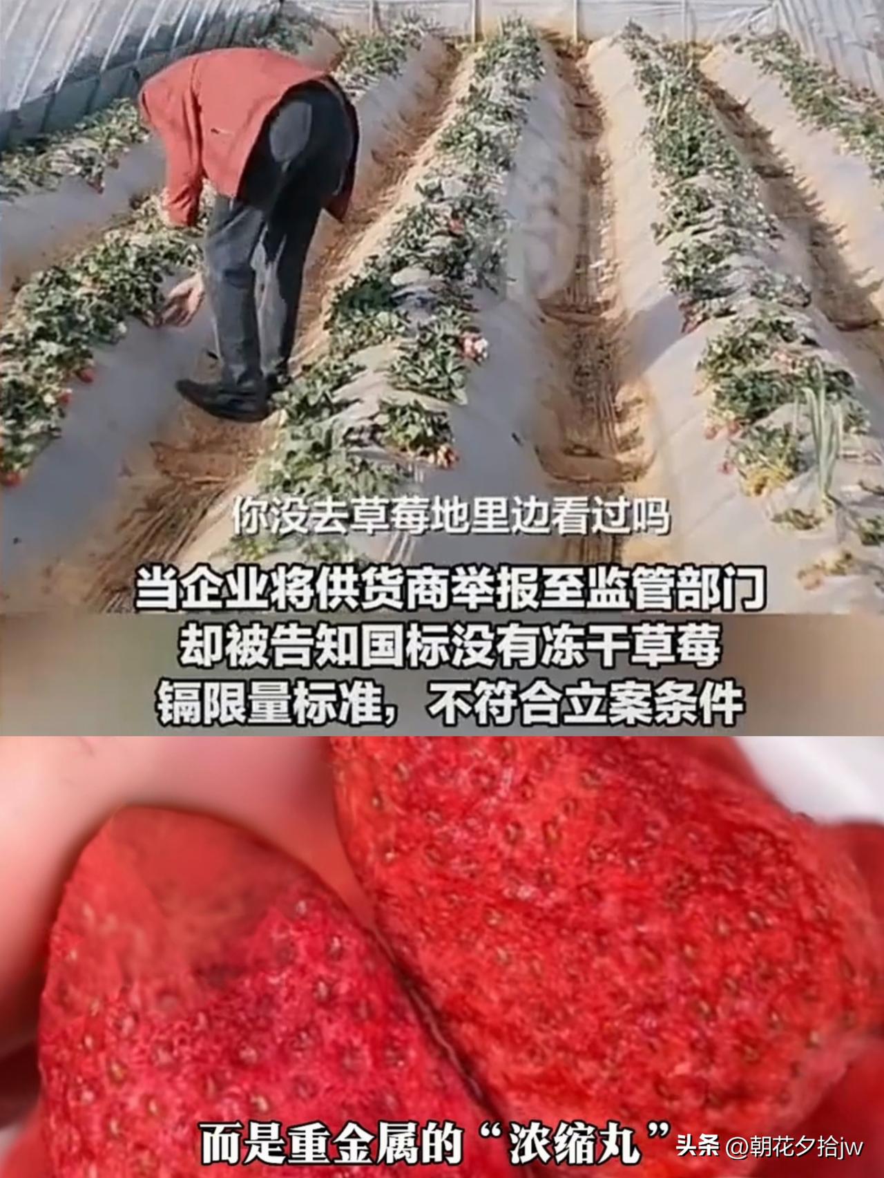 简直惊掉下巴！

某商家进了一批冻干草莓，自检时发现金属镉含量高达0.728mg