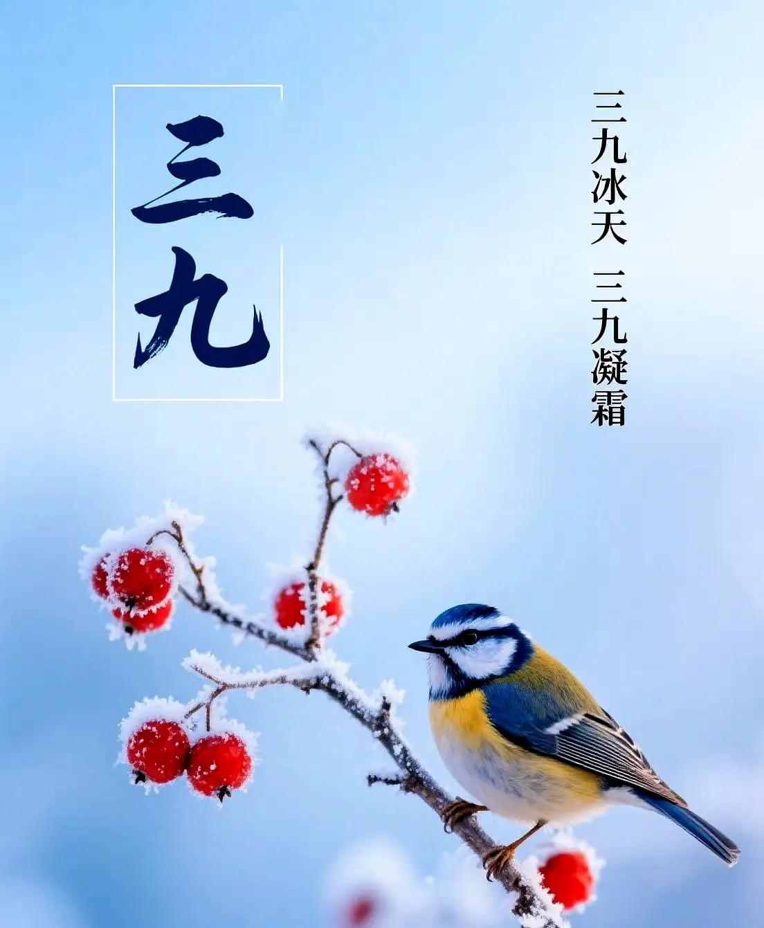 我国气温大范围回暖冬日暖阳捎来温柔的暖意，大地褪去寒意焕新颜～看着气温节节攀升，