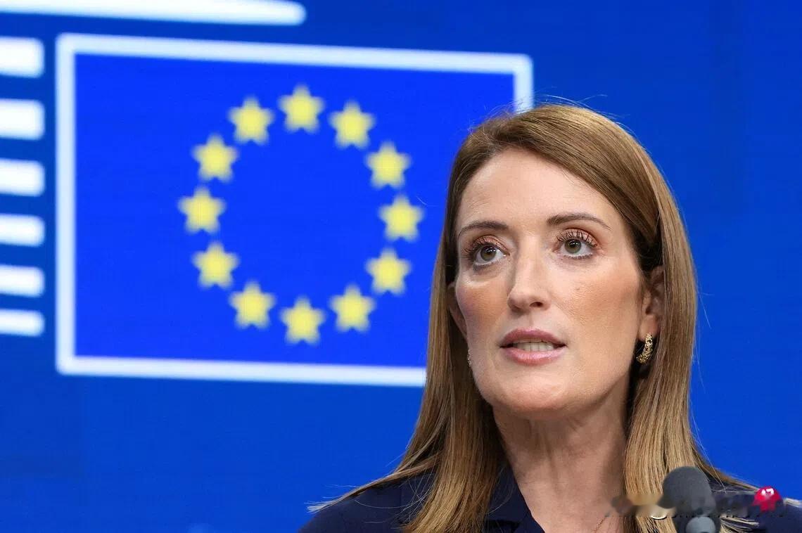 欧盟议会通过新规 允怀孕及产后议员“代理投票”（女权的进步）
欧盟议会星期四（1