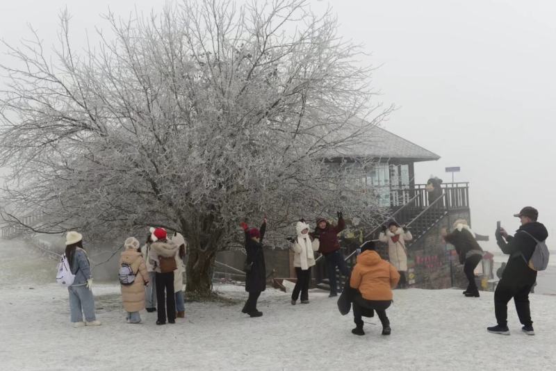 2025影像盘点 | 追光笔记——摄影师 蔡昌怀