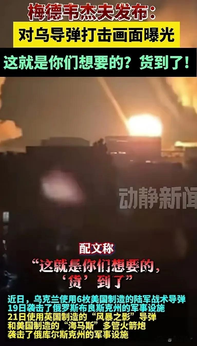 “榛树”快递，使命必达。小泽，你要的货，已经全部送达，请注意查收哦！近日，大帝发