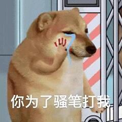 一些实用的表情包 ​​​