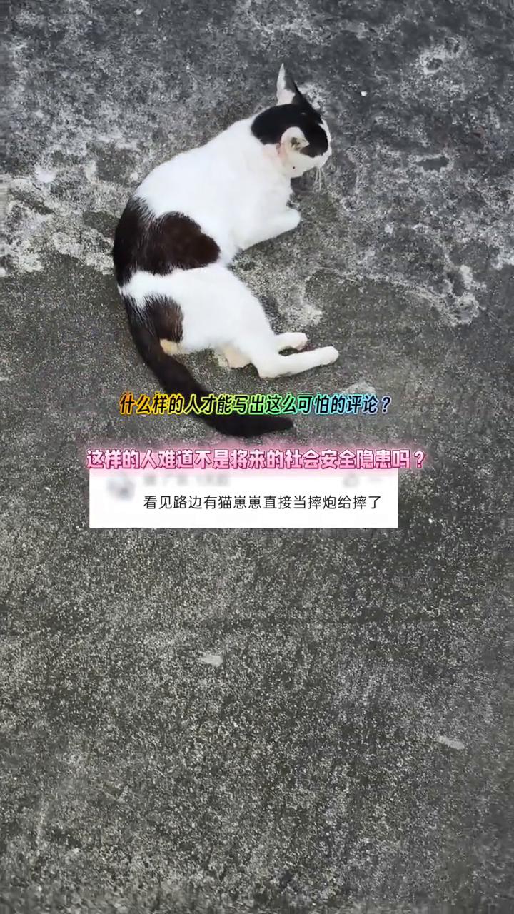 什么样的人才能写出这么可怕的评论？这样的人难道不是将来的社会安全隐患吗？看见路边