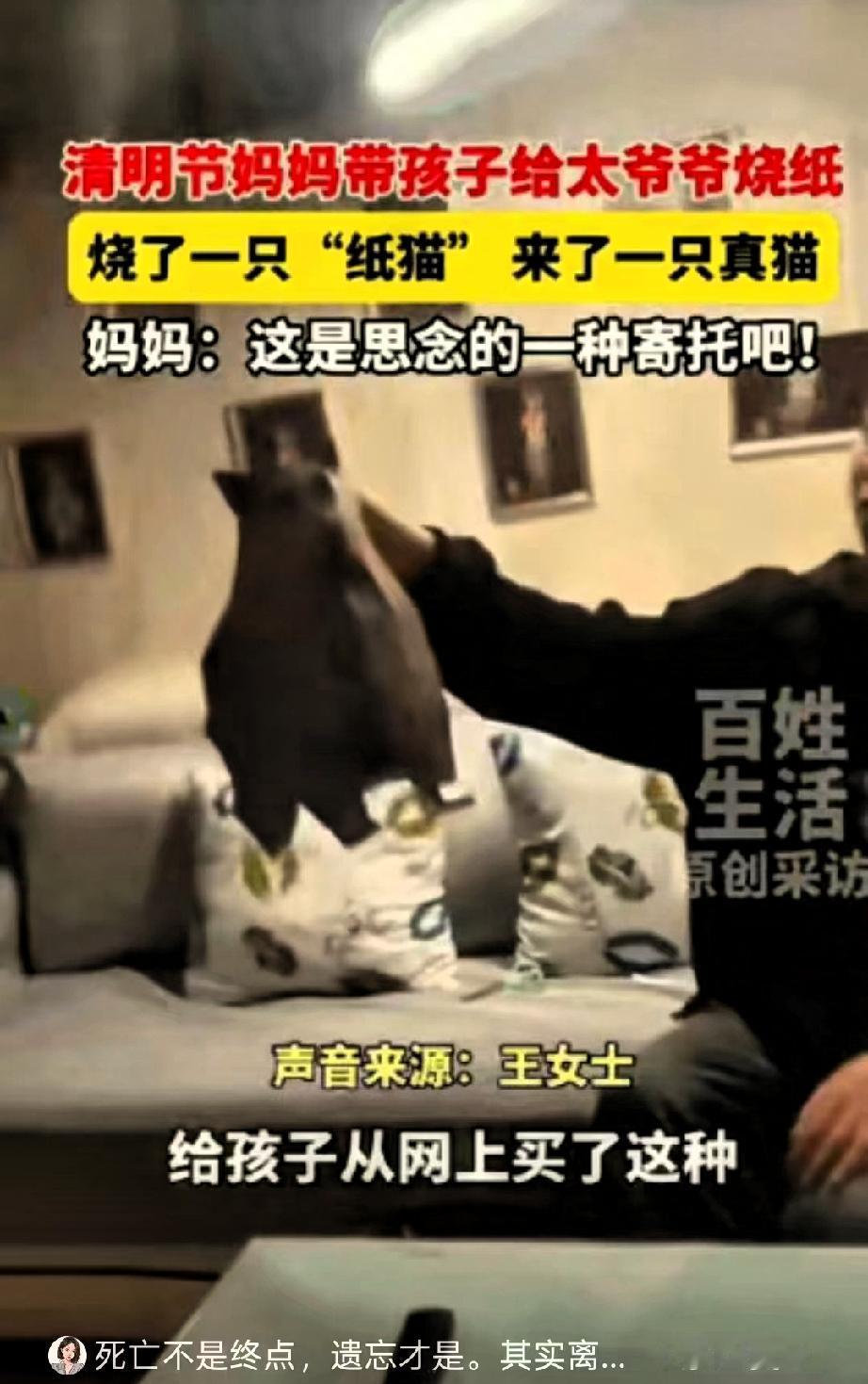 科学解释不清了！安徽，13岁男孩给去世的太爷爷烧纸，特意烧了一只纸猫，怕老人在那