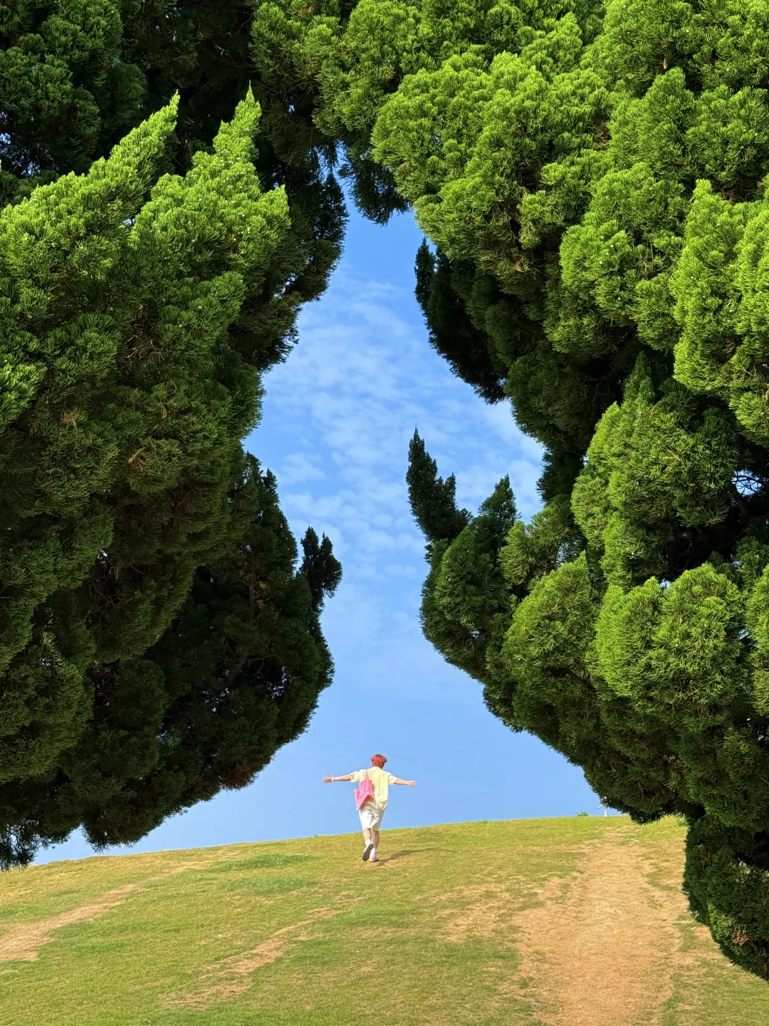 Live实况🌳在青岛拍到了18张人生照片！！