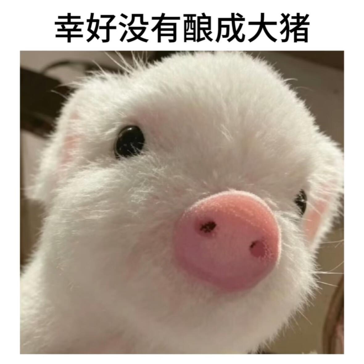 路过被萌一大跳 