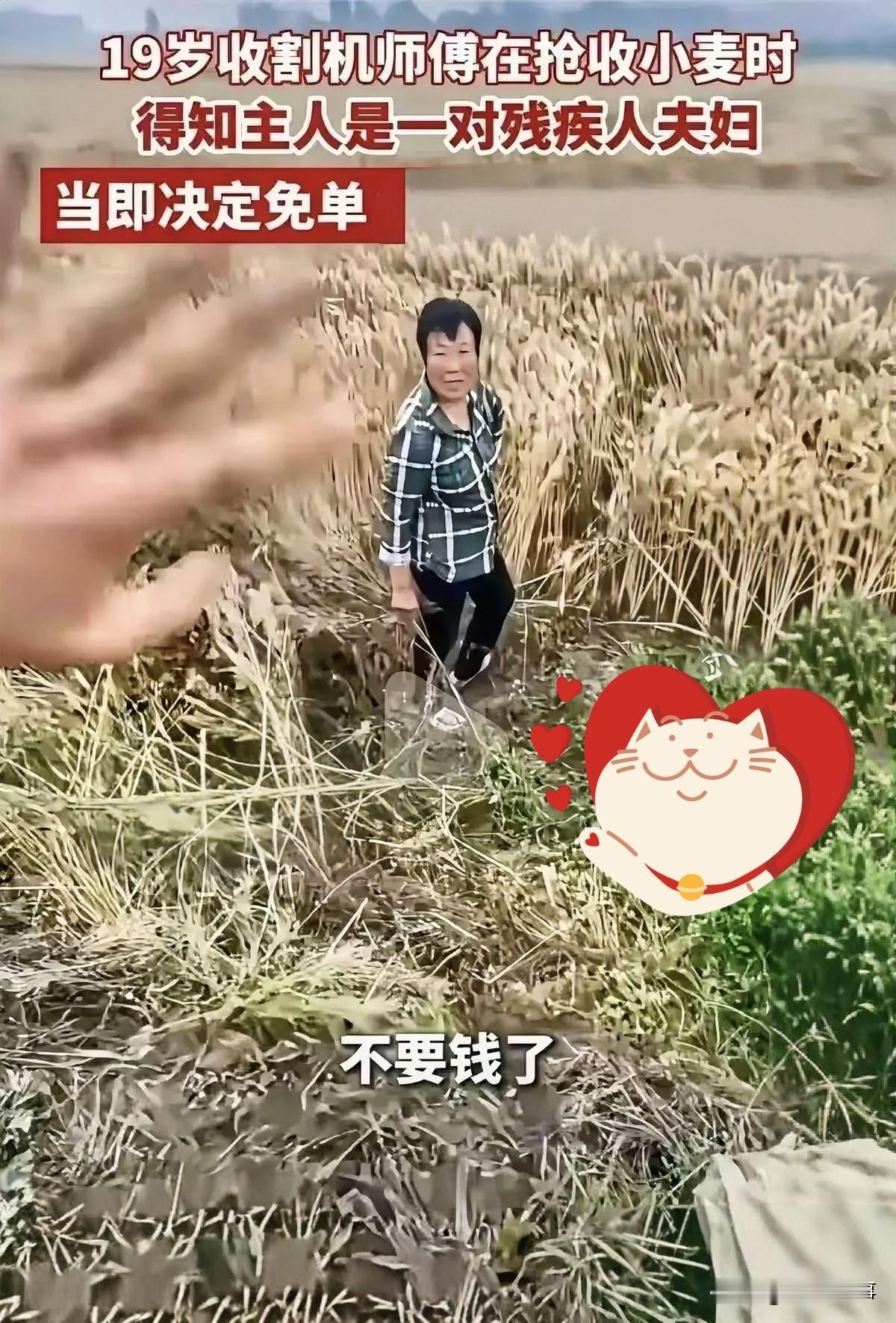 河南南阳，一位来自山东的18岁农机手在作业时，发现麦地女主人全程一言不发，同村大