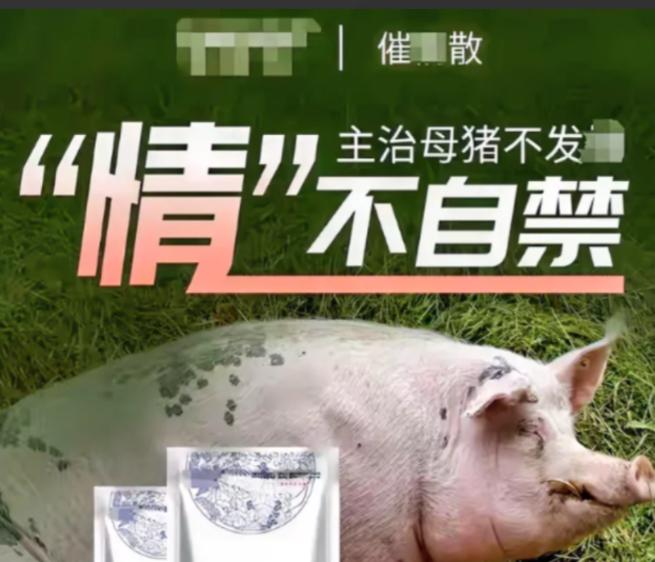 2019年小伙往饮水机投放母猪催情剂长达两年，却无一人发现，直到整个单位上至局长