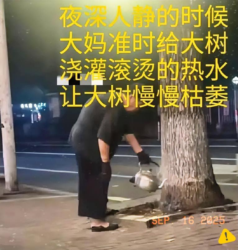 你们就说 这做法违不违法吧
沈阳和平区南八马路上发生一起奇葩事件。

一位大妈居