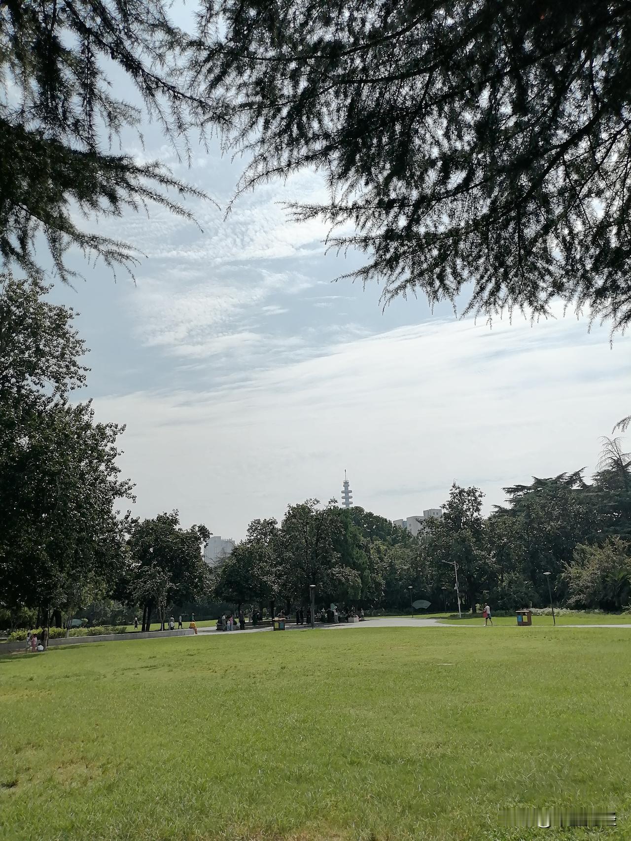 秋日生活打卡季秋天开始凉爽了，看看那个夏季闷热的草地，现在是何等的凉爽！