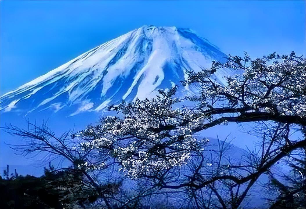 近日，因为高市早苗涉台谬论，网友们对日本的讨论就多了起来。这不，他们讨论起日本拥