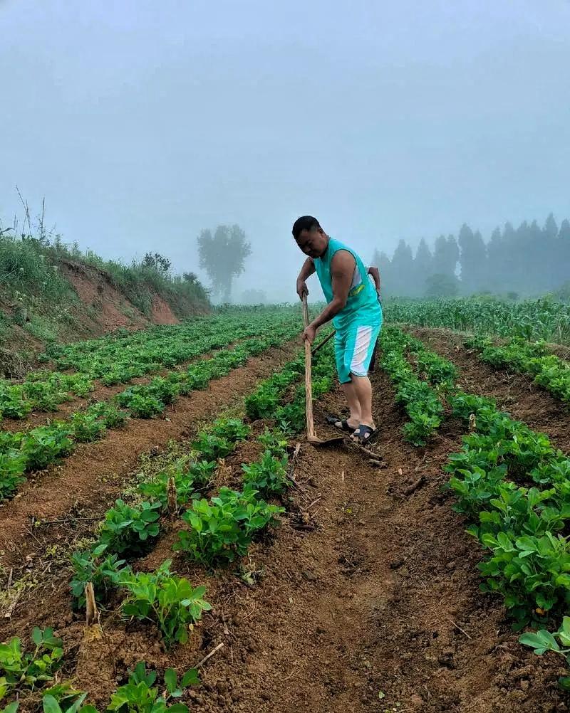 这个医生医术绝对精湛[赞]
1月14日，一媒体报道，浙江省台州市一40多岁未婚男