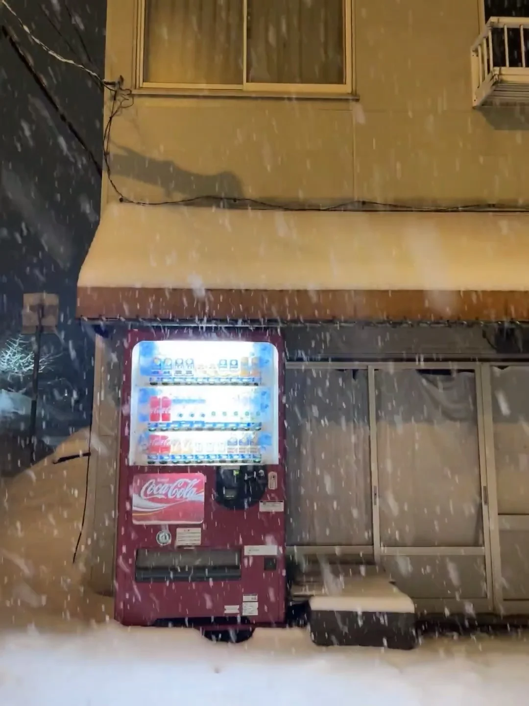 是雪天，是雪天，还是雪天❄️❄️❄️