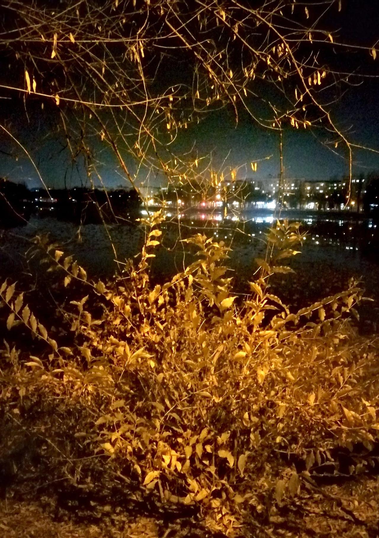 #分享一张随手拍很好看的照片#