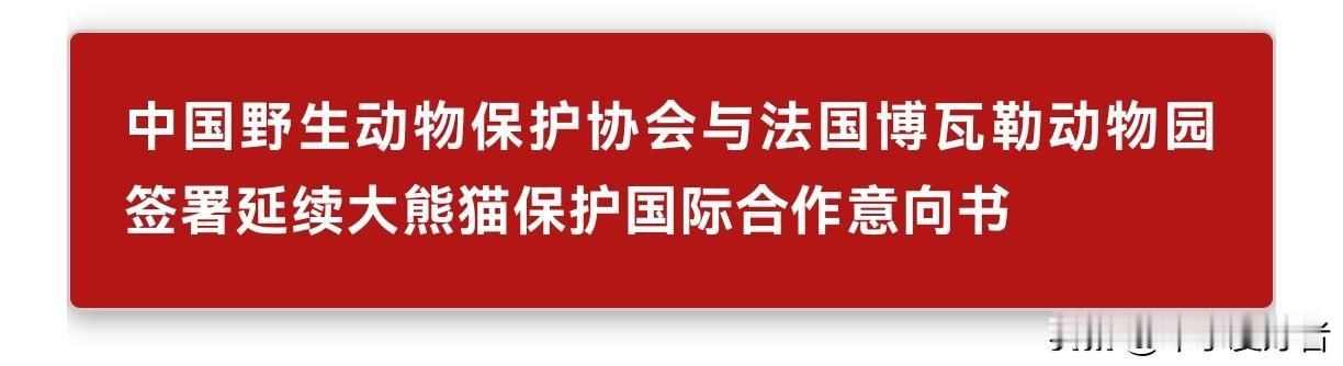 中国野生动物保护协会与法国博瓦勒动物园近日签署意向书，确认将延续大熊猫保护国际合