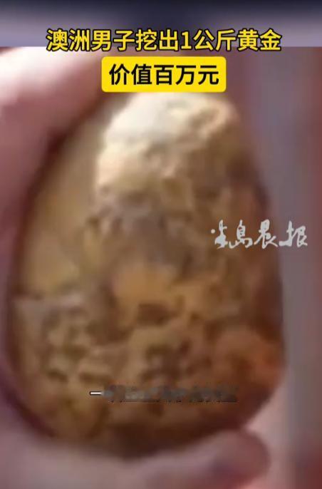 澳大利亚，一业余淘金者，在当地一盛产金矿石的荒野探矿。万万没想到，他竟在地下10