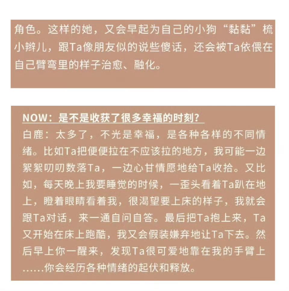 每次看你采访，都能感受到你对狗狗黏黏满满的爱意。它不只是一只宠物，更像是能治愈你