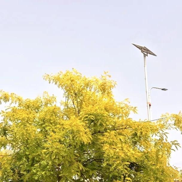 令人受益一生的一段话：“大恩之后，必有大恨；大爱之后，必有大怨；大善之后，必是大