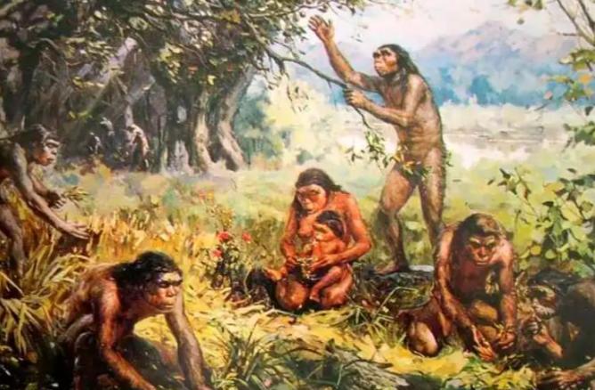 科学家发现，350万年前，地球上曾存在两种截然不同的人科古生物。

这不是假设，