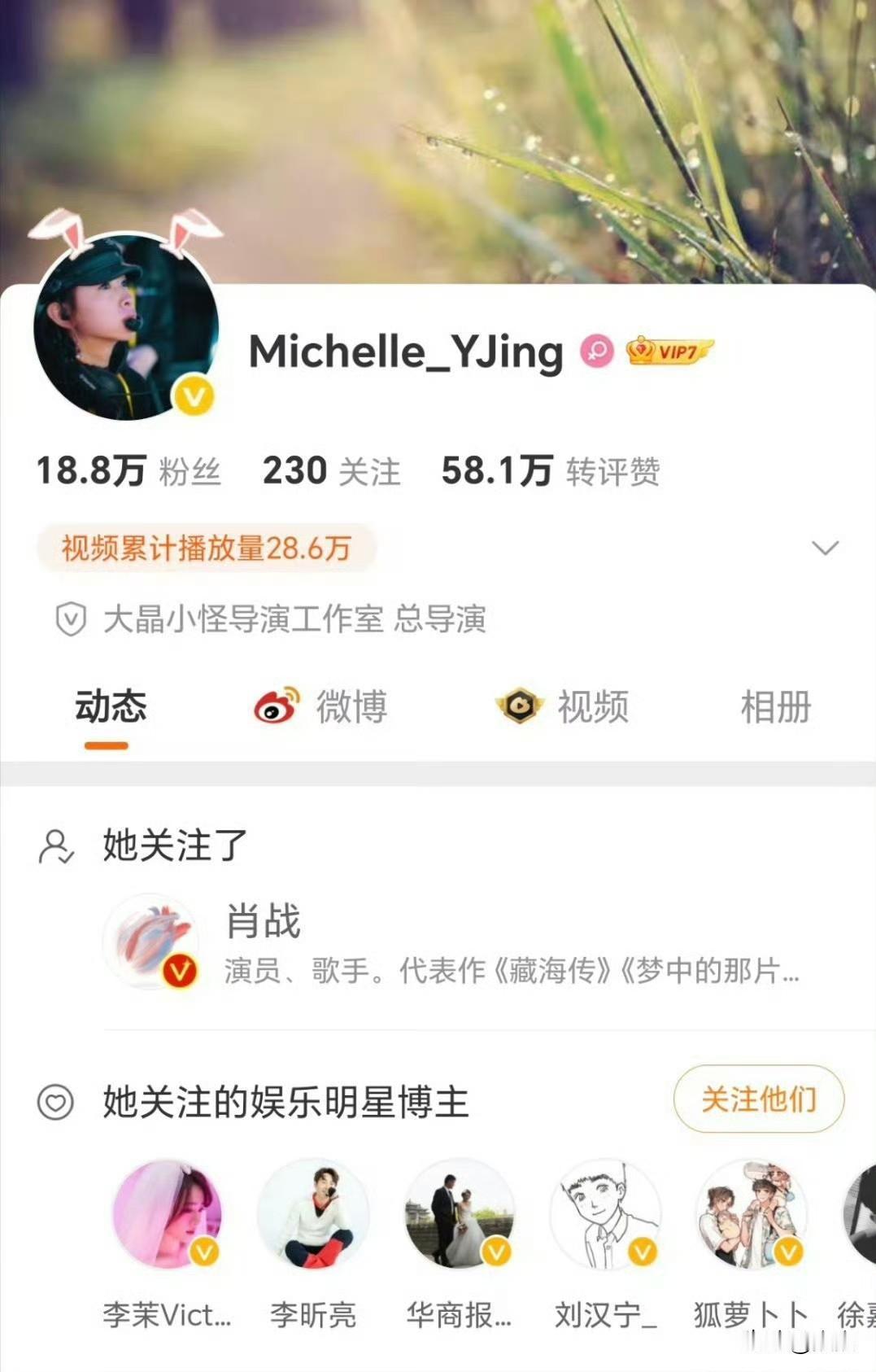 惊喜刷到一位演唱会导演关注肖战，查阅后得知她正是当年《陈情令》国风演唱会的创意内